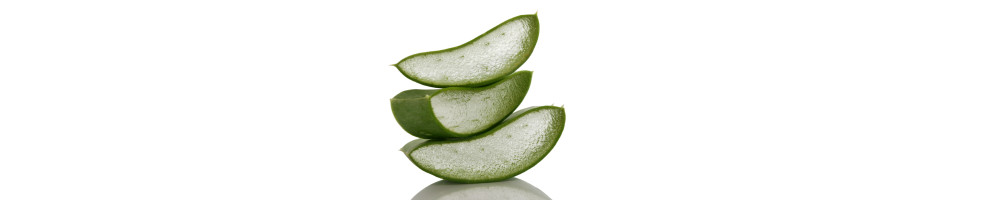Aloe Slices Stack